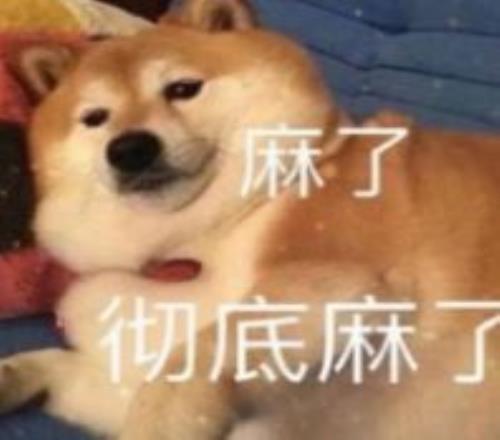 哈兰德点球,得分,助攻卢顿乌,pg游戏官网登录入口,PG电子最新官网,pg游戏官网登录入口,pg电子游戏app